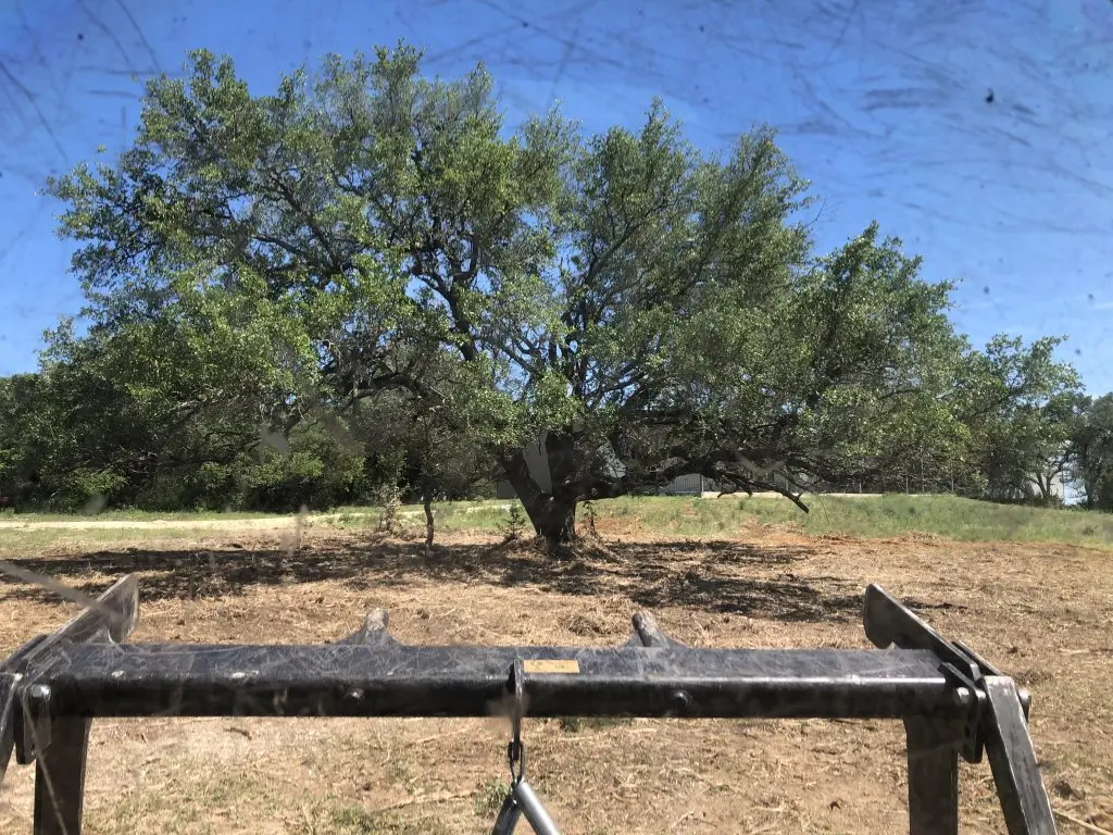 Land Clearing Contractor Waco